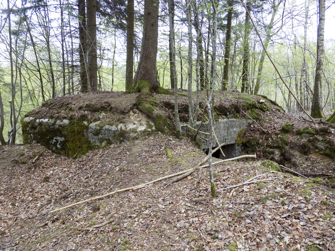 Ligne Maginot - BA104 - ROUTE DE REVIN 1 - (Blockhaus pour canon) - Faces gauche et l'arrière - R Tucker