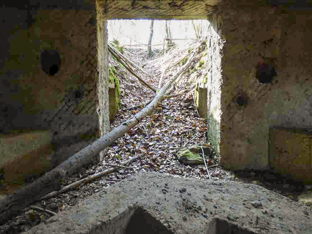 Ligne Maginot - BA104 - ROUTE DE REVIN 1 - (Blockhaus pour canon) -  - JMBrams