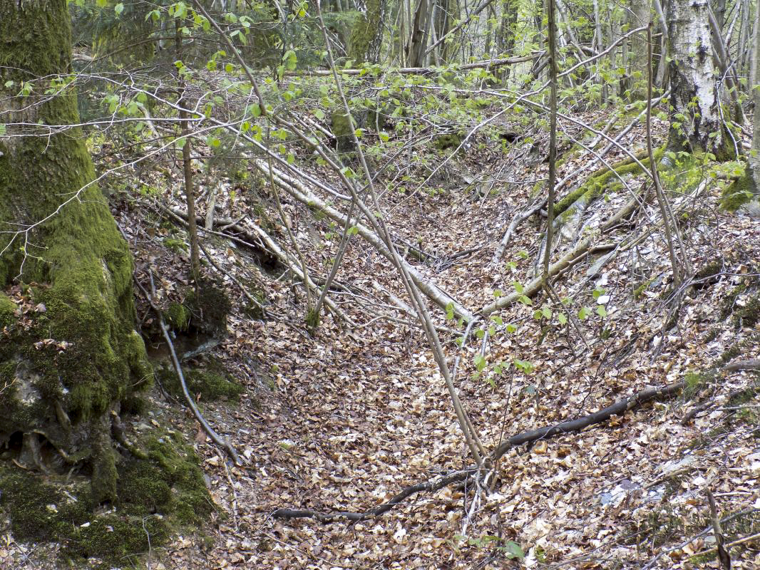Ligne Maginot - BA104 - ROUTE DE REVIN 1 - (Blockhaus pour canon) - Vestiges des tranchées - R Tucker
