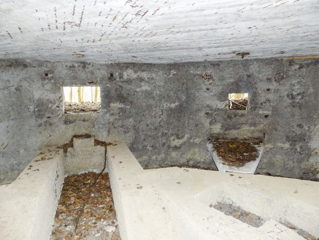 Ligne Maginot - BA104 - ROUTE DE REVIN 1 - (Blockhaus pour canon) - Créneaux AC gauche et Hotchkiss centrale - R Tucker
