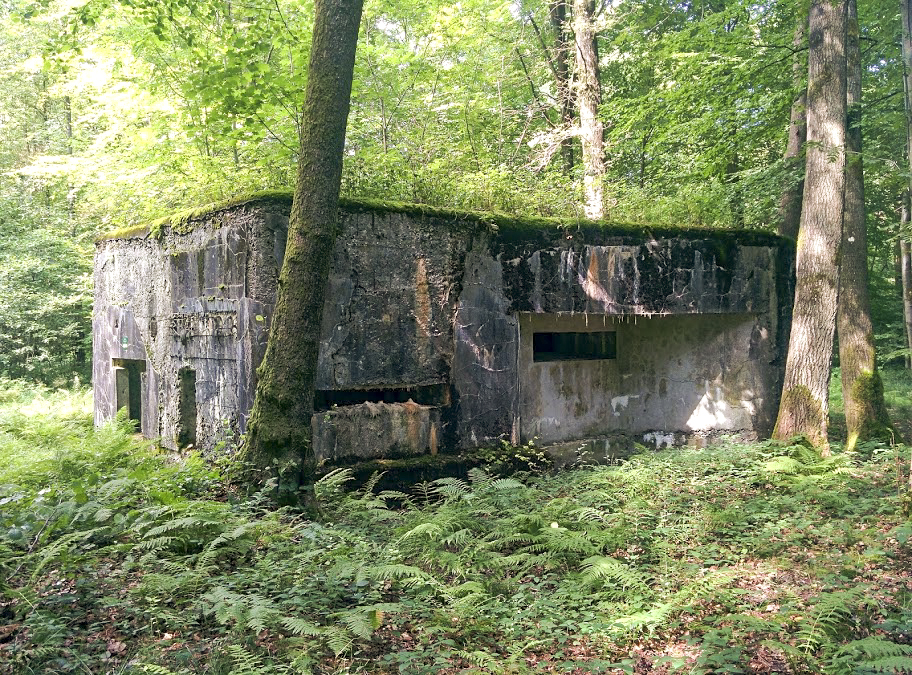 Ligne Maginot - A8 - LE MAMELON EST - (Blockhaus pour canon) -  - PAVEL Jan