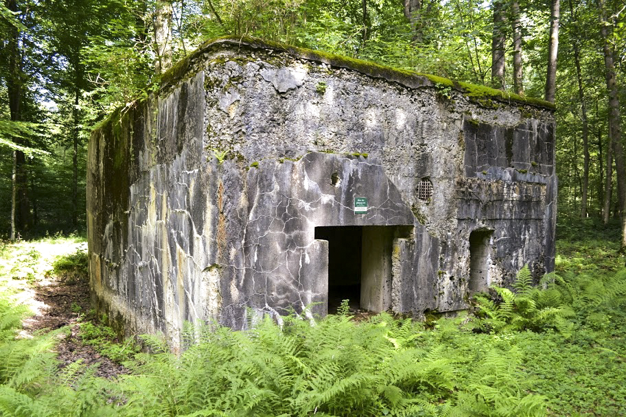 Ligne Maginot - A8 - LE MAMELON EST - (Blockhaus pour canon) -  - PAVEL Jan