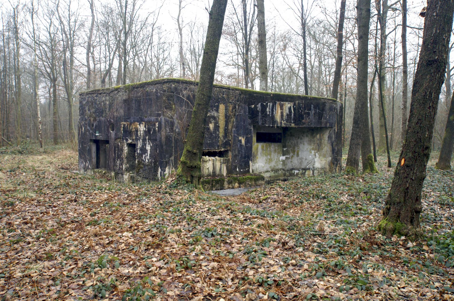 Ligne Maginot - A8 - LE MAMELON EST - (Blockhaus pour canon) -  - Caspar Vermeulen