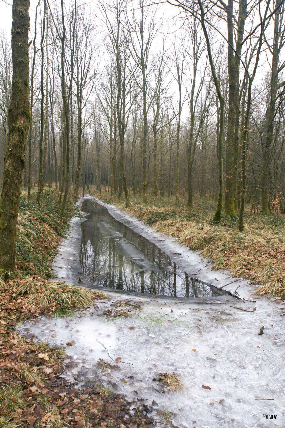 Ligne Maginot - A8 - LE MAMELON EST - (Blockhaus pour canon) - Le fossé antichars - Caspar Vermeulen