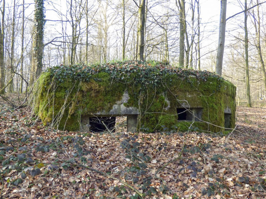 Ligne Maginot - BA7 - LE GLACIS NORD - (Blockhaus pour arme infanterie) -  - JMBrams