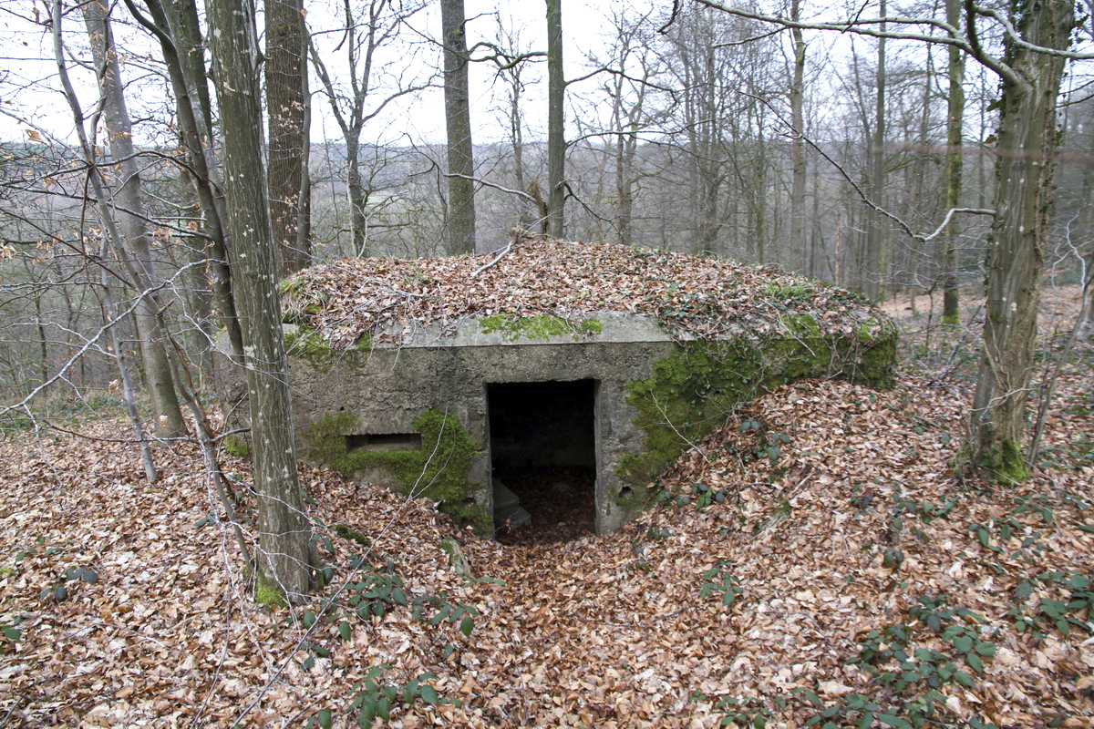 Ligne Maginot - BA7 - LE GLACIS NORD - (Blockhaus pour arme infanterie) -  - Alain Perouffe