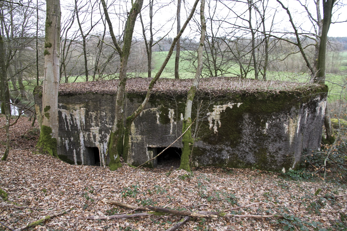 Ligne Maginot - LE GLACIS BAS - (Blockhaus pour canon) - Vue du bloc au bord de l'Oise - Alain Perouffe