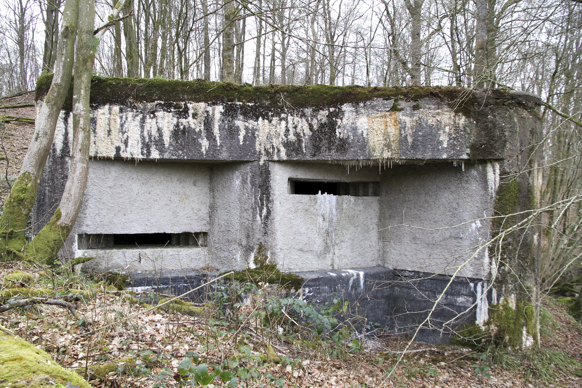 Ligne Maginot - LE GLACIS BAS - (Blockhaus pour canon) -  - Alain Perouffe