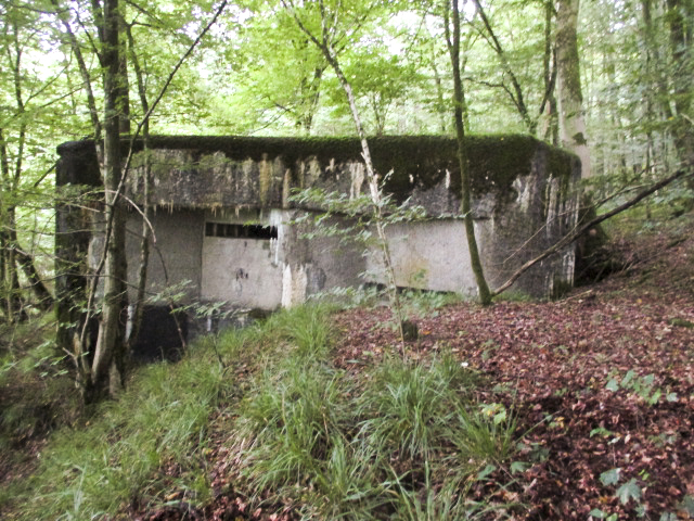 Ligne Maginot - LE GLACIS BAS - (Blockhaus pour canon) -  - Randonneur62
