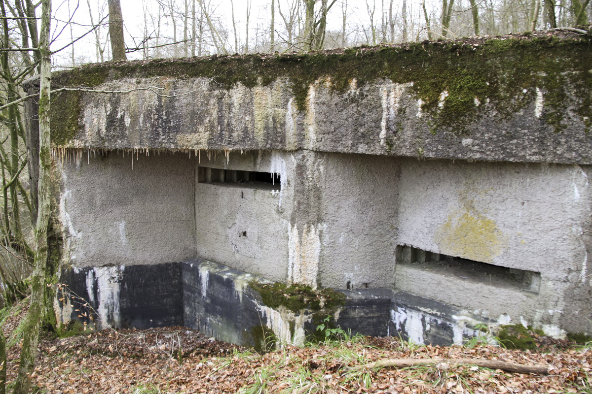 Ligne Maginot - LE GLACIS BAS - (Blockhaus pour canon) -  - Alain Perouffe