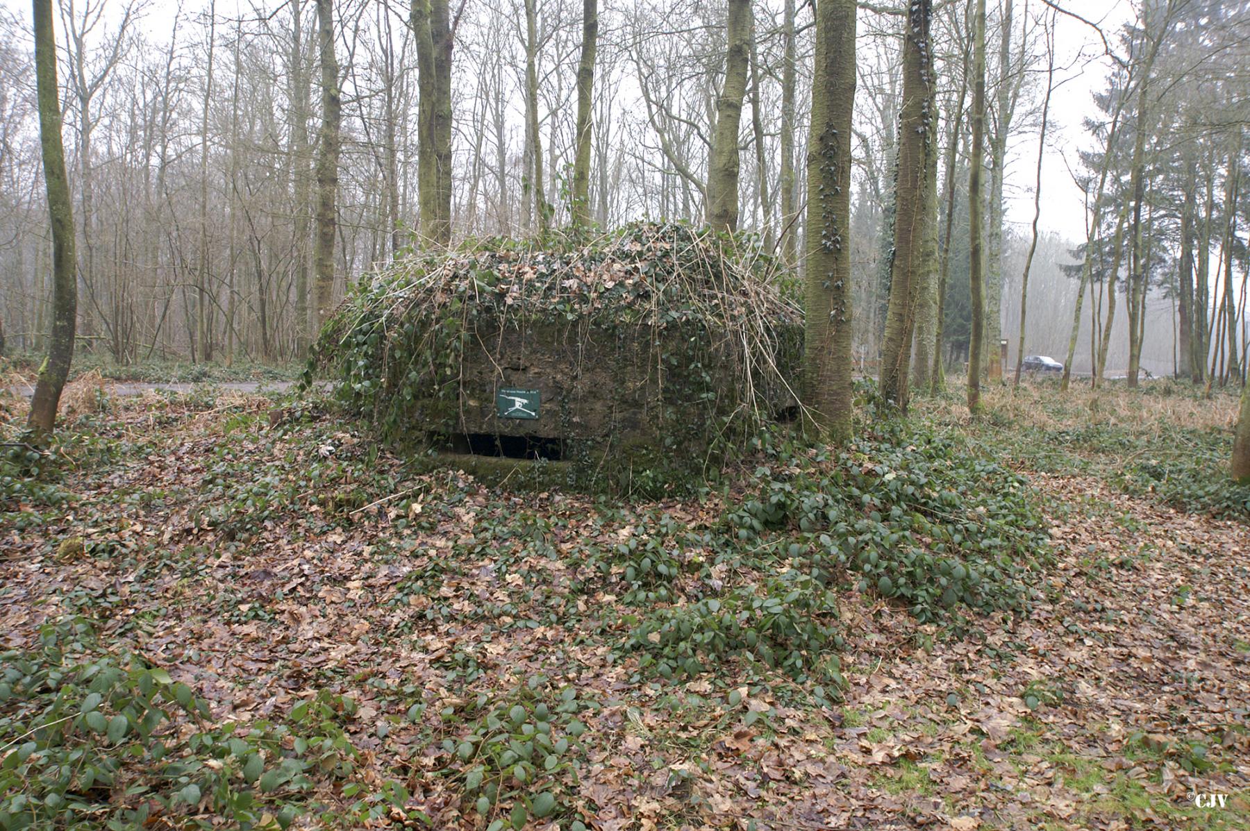Ligne Maginot - BA14 - LA CANTINE NORD - (Blockhaus pour canon) -  - Caspar Vermeulen