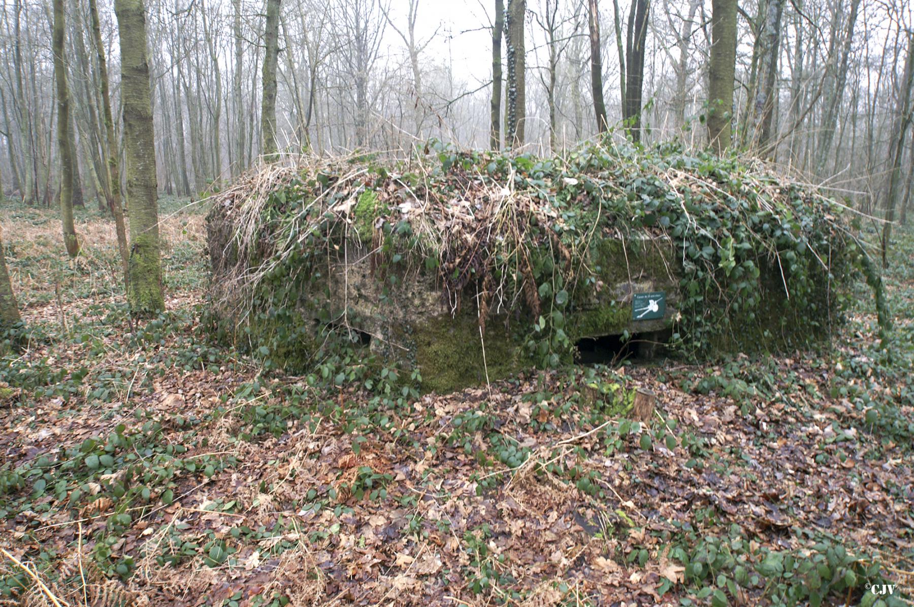 Ligne Maginot - BA14 - LA CANTINE NORD - (Blockhaus pour canon) -  - Caspar Vermeulen