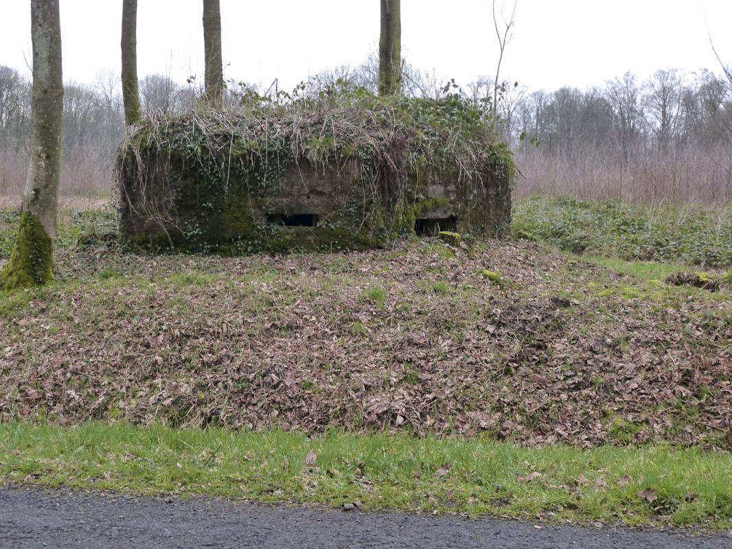 Ligne Maginot - BA14 - LA CANTINE NORD - (Blockhaus pour canon) -  - JMBrams