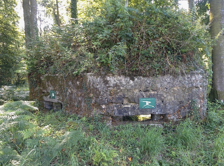 Ligne Maginot - BA14 - LA CANTINE NORD - (Blockhaus pour canon) -  - PAVEL Jan