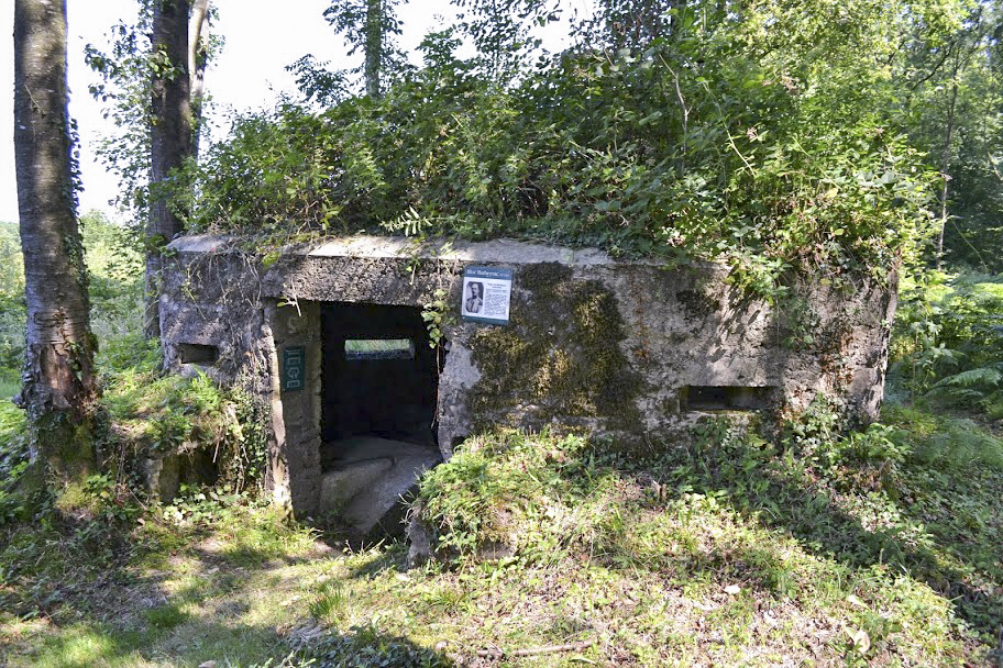 Ligne Maginot - BA14 - LA CANTINE NORD - (Blockhaus pour canon) -  - PAVEL Jan