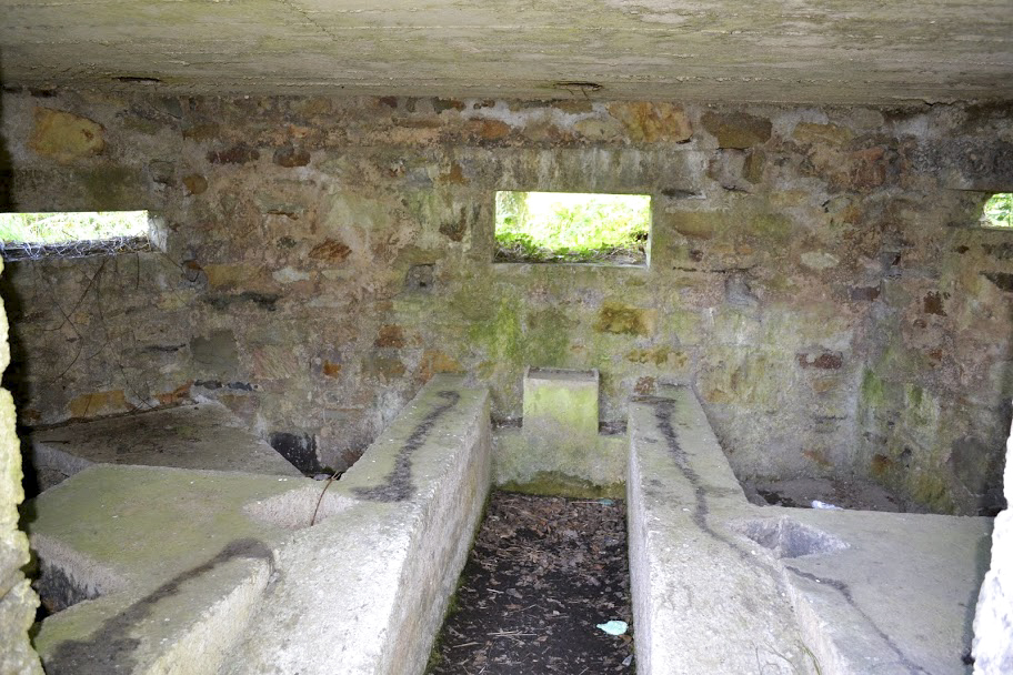 Ligne Maginot - BA14 - LA CANTINE NORD - (Blockhaus pour canon) -  - PAVEL Jan
