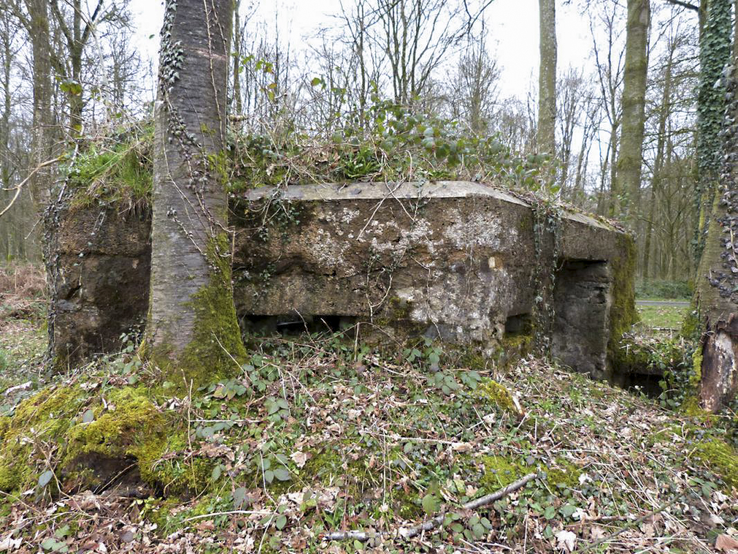Ligne Maginot - BA14 - LA CANTINE NORD - (Blockhaus pour canon) -  - JMBrams