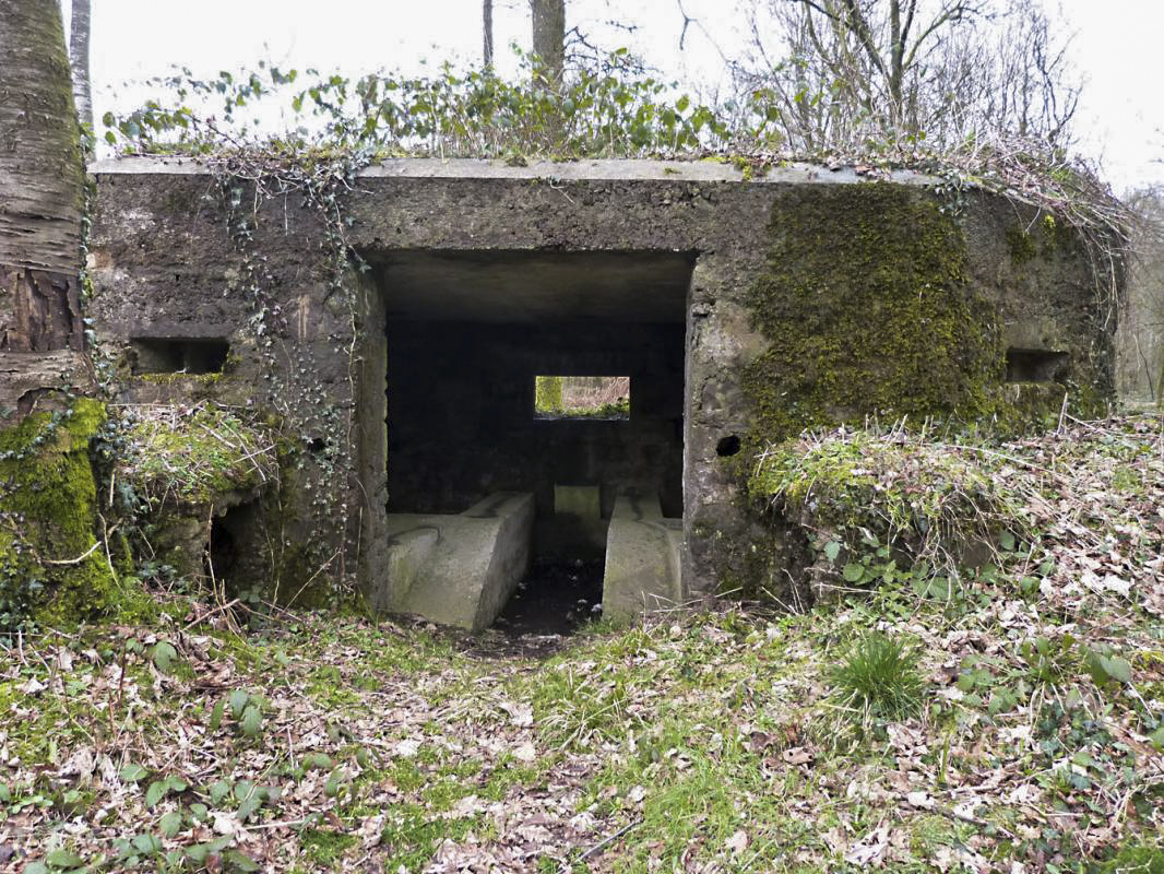 Ligne Maginot - BA14 - LA CANTINE NORD - (Blockhaus pour canon) -  - JMBrams