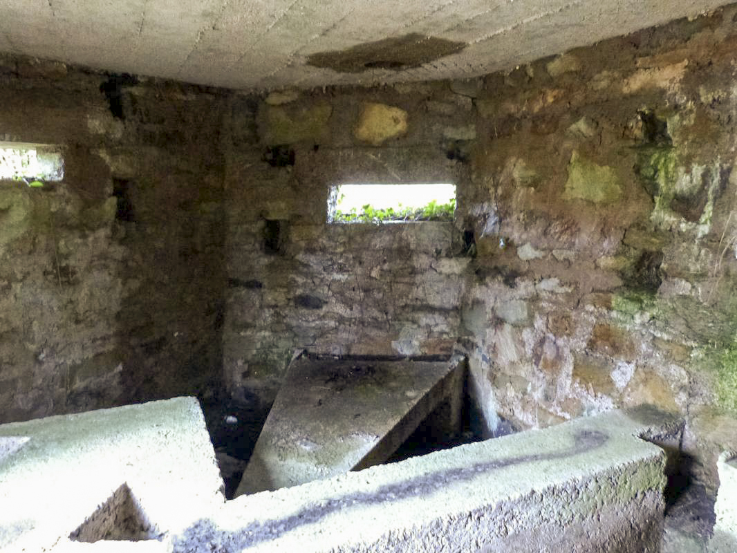 Ligne Maginot - BA14 - LA CANTINE NORD - (Blockhaus pour canon) -  - JMBrams