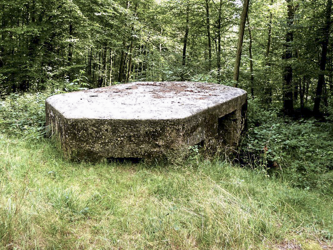 Ligne Maginot - Ba17 - CARREFOUR ALEXANDRE (Blockhaus pour canon) -  - JMBrams