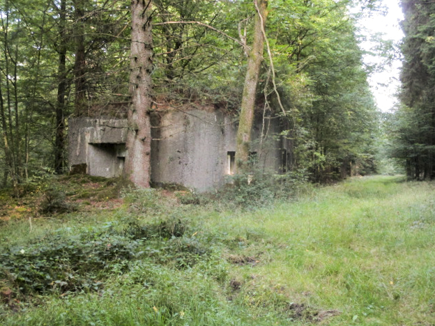 Ligne Maginot - B760 - CARREFOUR GRAMMONT - (Blockhaus pour canon) - Blockhaus situé dans son environnement. - Randonneur62