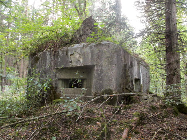 Ligne Maginot - B760 - CARREFOUR GRAMMONT - (Blockhaus pour canon) -  - Randonneur62