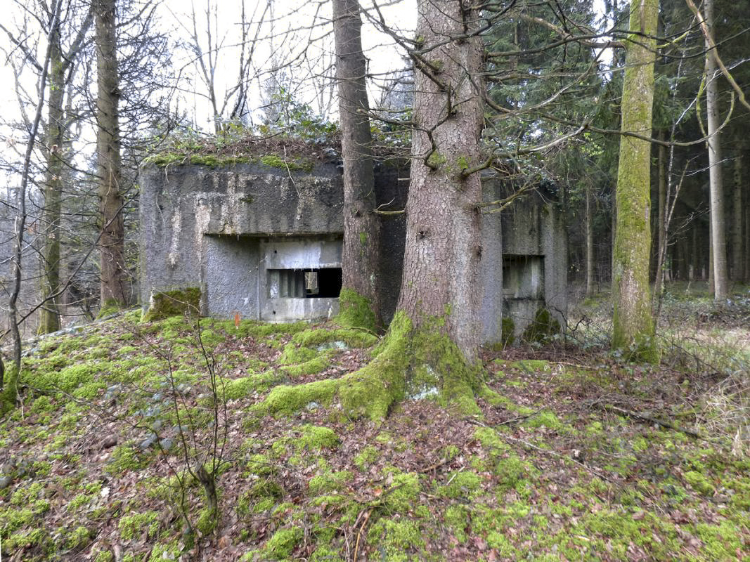 Ligne Maginot - B760 - CARREFOUR GRAMMONT - (Blockhaus pour canon) -  - JMBrams