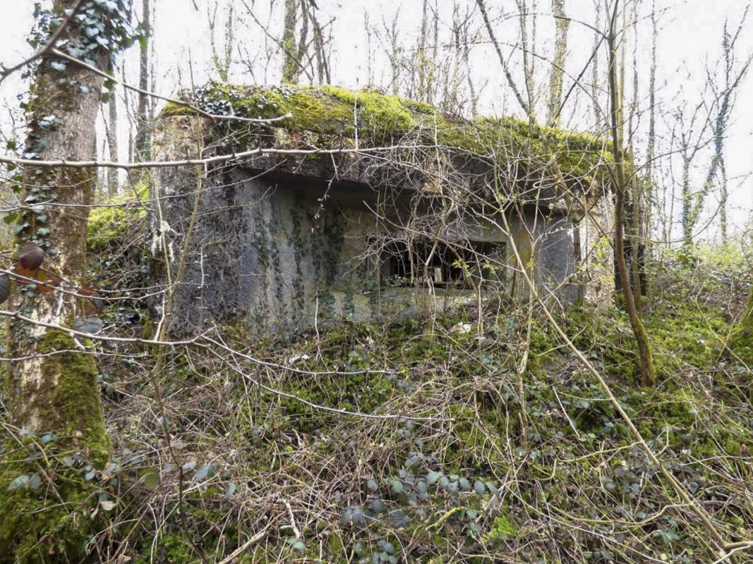 Ligne Maginot - B769 - ETANG DE LA FOLIE SUD - (Blockhaus pour canon) -  - JMBrams