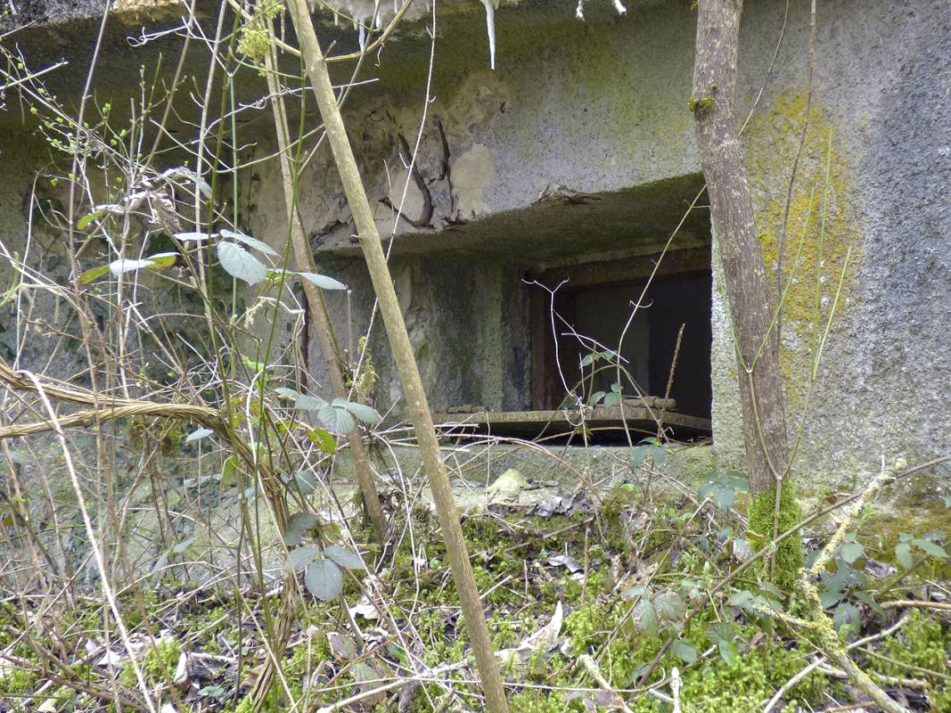 Ligne Maginot - B769 - ETANG DE LA FOLIE SUD - (Blockhaus pour canon) -  - JMBrams