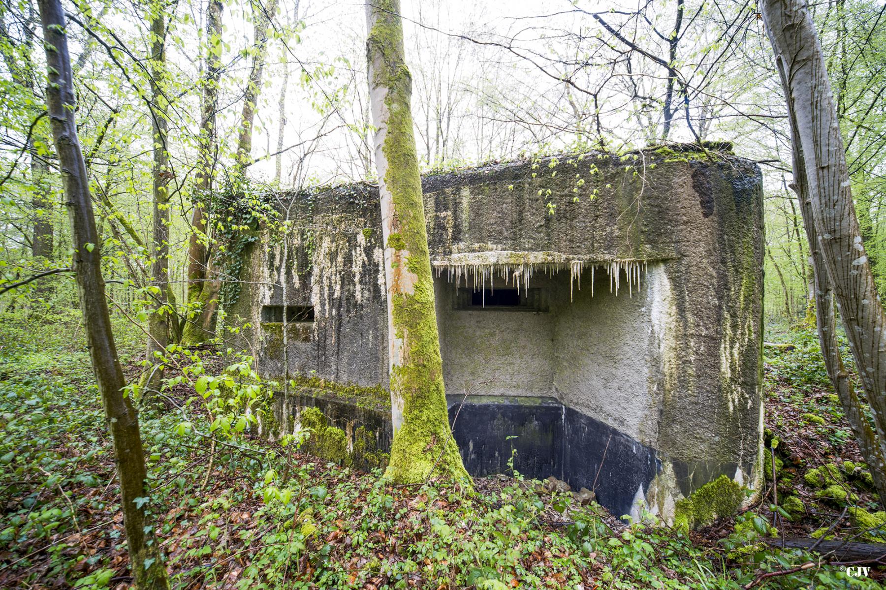 Ligne Maginot - A11 - ACCOTEMENT OUEST - (Blockhaus pour canon) -  - Lia VERMEULEN
