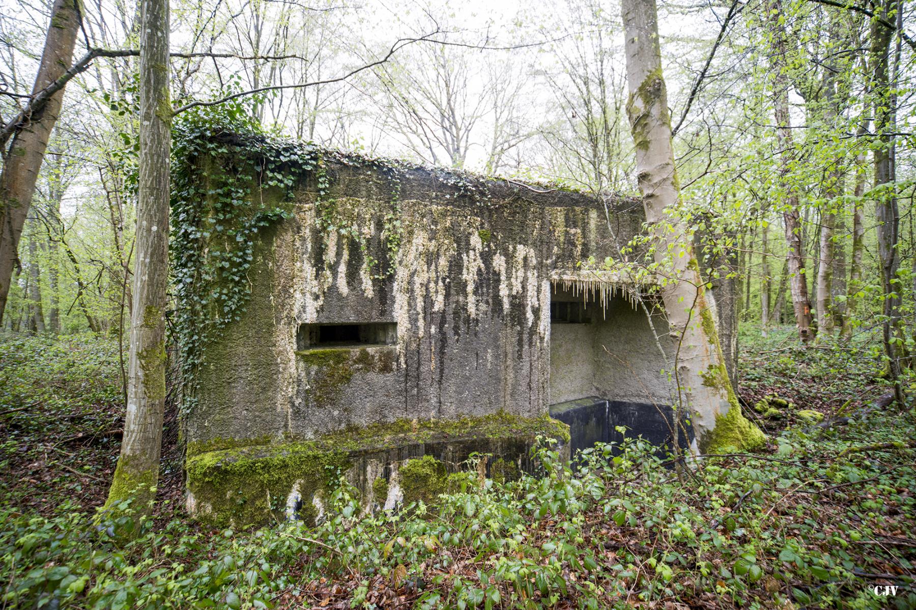 Ligne Maginot - A11 - ACCOTEMENT OUEST - (Blockhaus pour canon) -  - Lia VERMEULEN