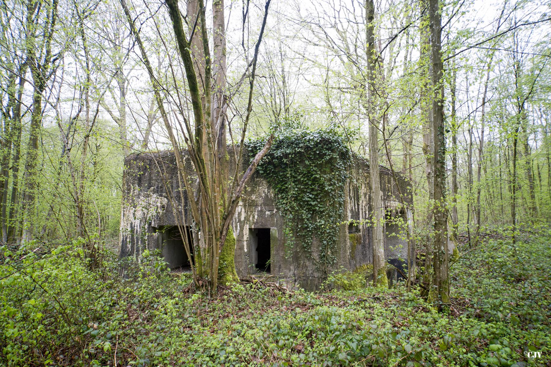 Ligne Maginot - A11 - ACCOTEMENT OUEST - (Blockhaus pour canon) -  - Lia VERMEULEN
