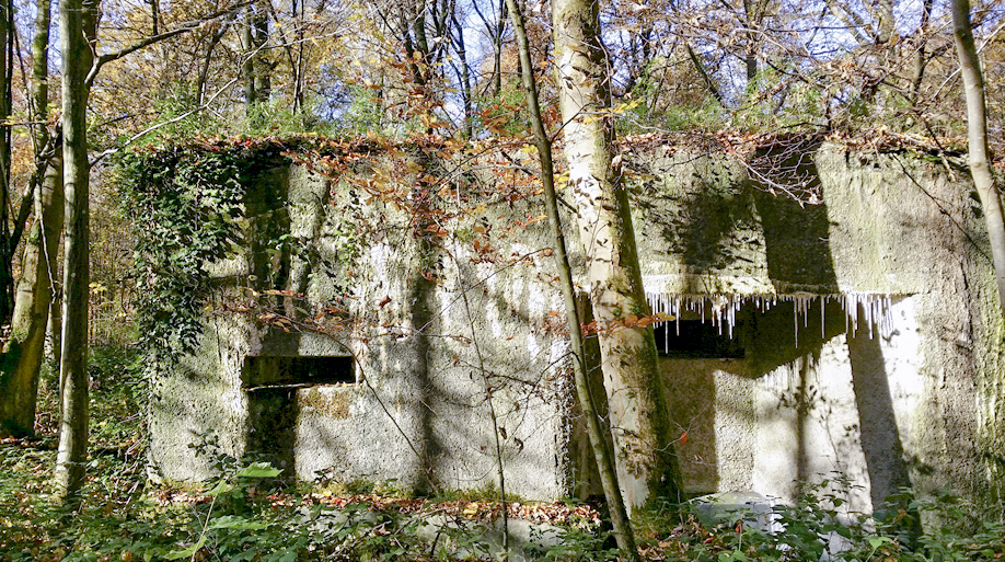 Ligne Maginot - A11 - ACCOTEMENT OUEST - (Blockhaus pour canon) -  - Patrice Vilain