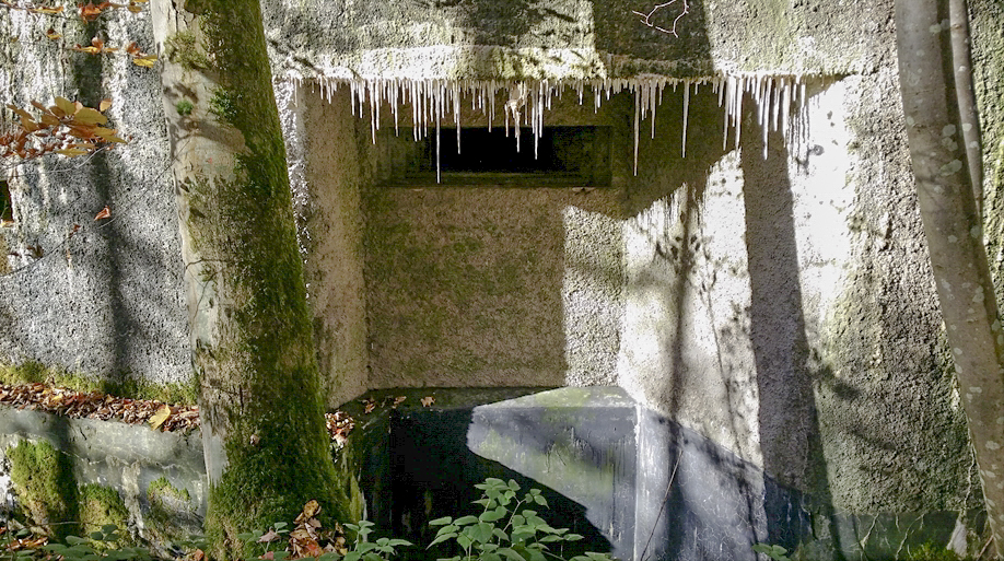 Ligne Maginot - A11 - ACCOTEMENT OUEST - (Blockhaus pour canon) -  - Patrice Vilain