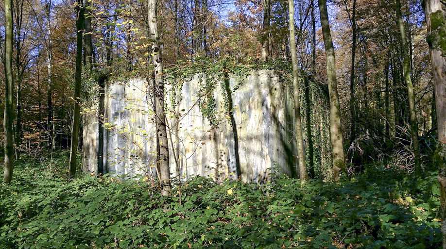 Ligne Maginot - A11 - ACCOTEMENT OUEST - (Blockhaus pour canon) -  - Patrice Vilain