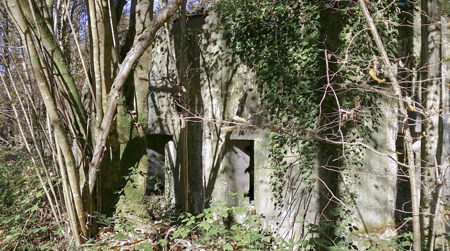 Ligne Maginot - A11 - ACCOTEMENT OUEST - (Blockhaus pour canon) -  - Patrice Vilain