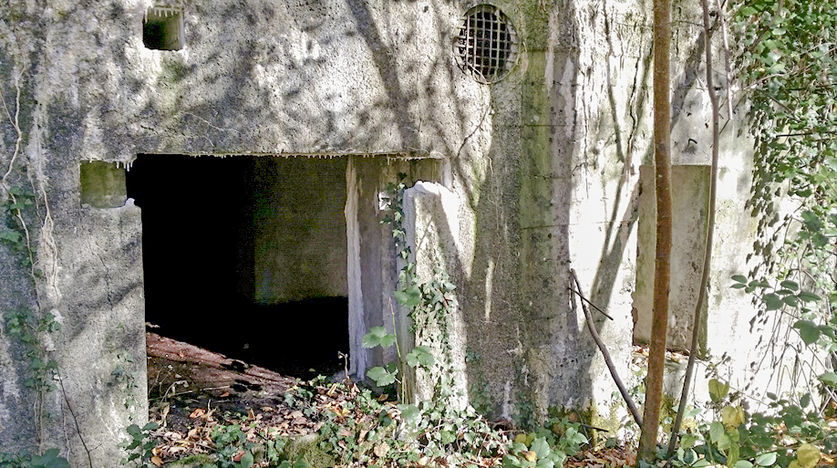 Ligne Maginot - A11 - ACCOTEMENT OUEST - (Blockhaus pour canon) -  - Patrice Vilain