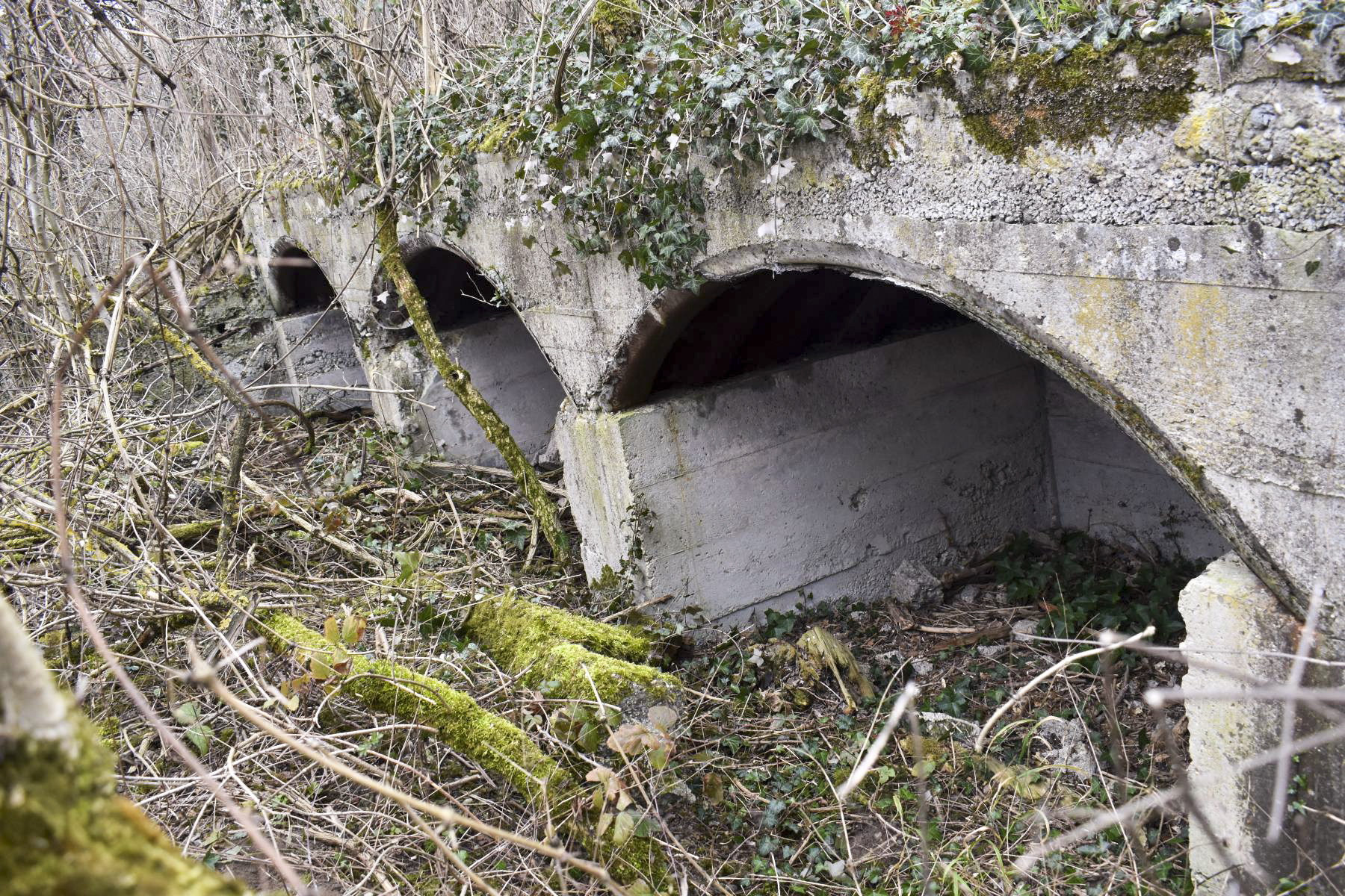 Ligne Maginot - NIEDERWALD - (Position d'artillerie préparée) - Soute à munitions 1 - Daniel Froehly