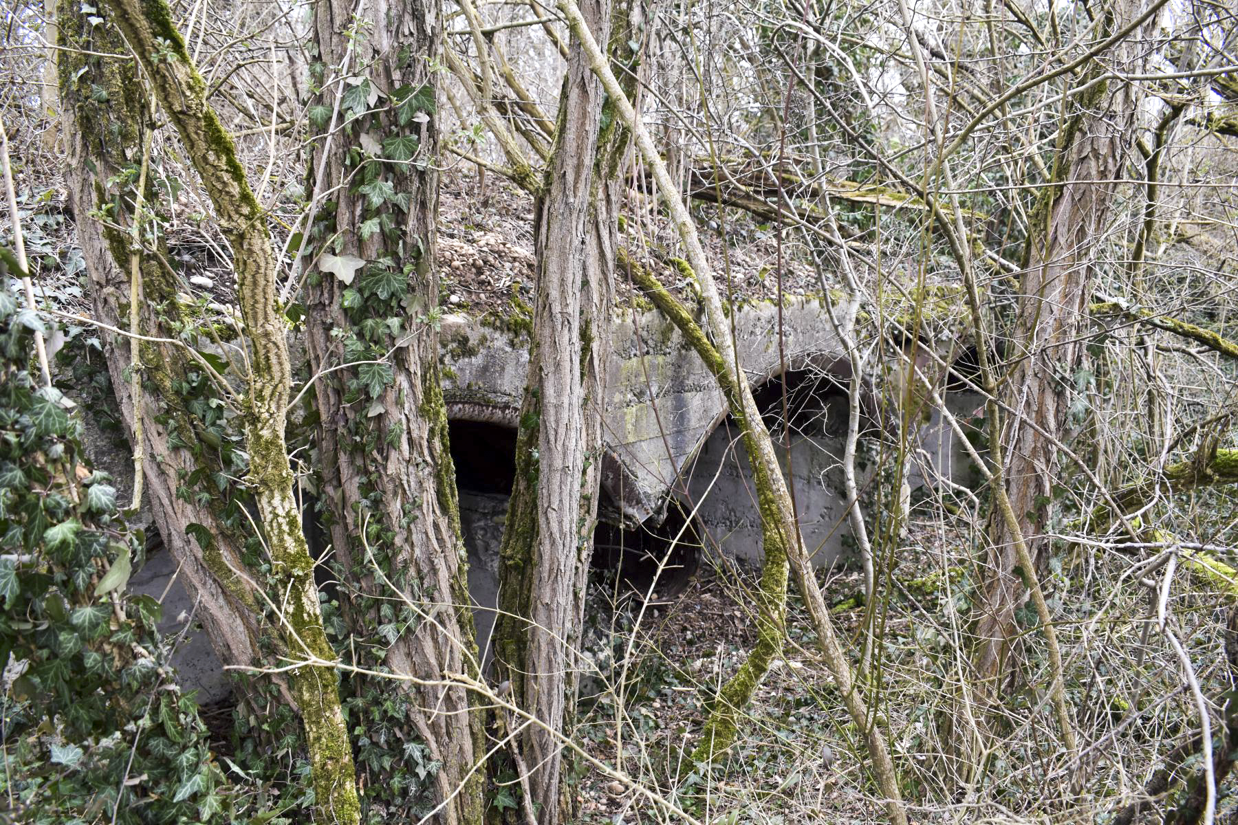 Ligne Maginot - NIEDERWALD - (Position d'artillerie préparée) - Soute à munitions 2 - Daniel Froehly