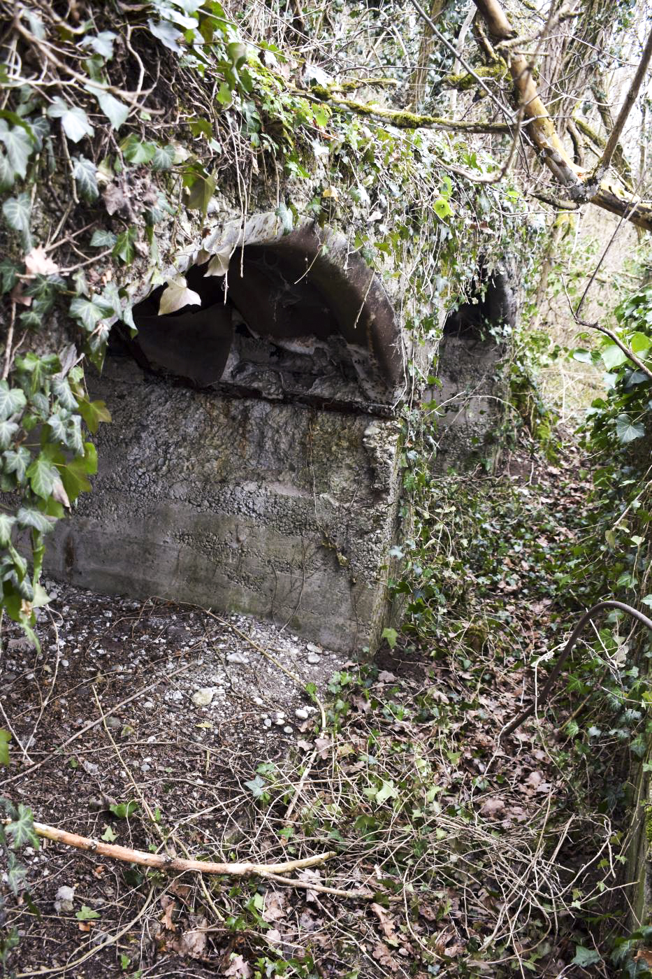 Ligne Maginot - NIEDERWALD - (Position d'artillerie préparée) - Soute à munitions 5 - Daniel Froehly