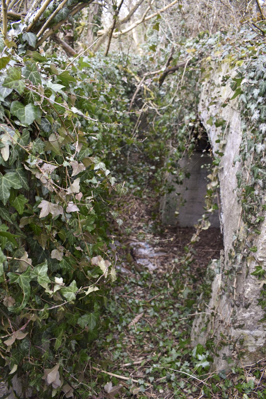 Ligne Maginot - NIEDERWALD - (Position d'artillerie préparée) - Soute à munitions 6 - Daniel Froehly