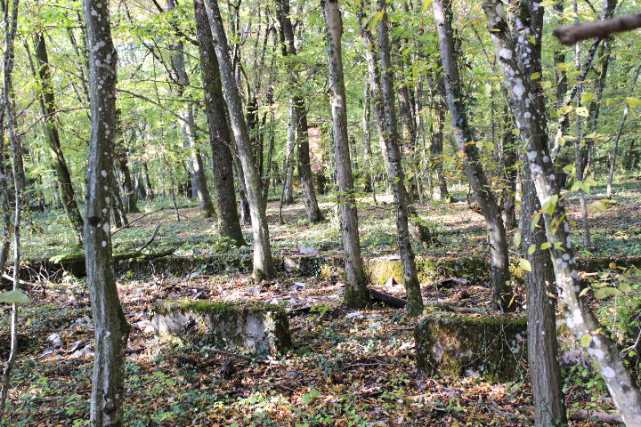 Ligne Maginot - TETING - (Casernement) -  - jin jac