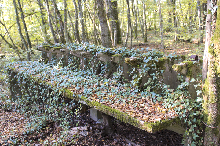 Ligne Maginot - TETING - (Casernement) -  - jin jac
