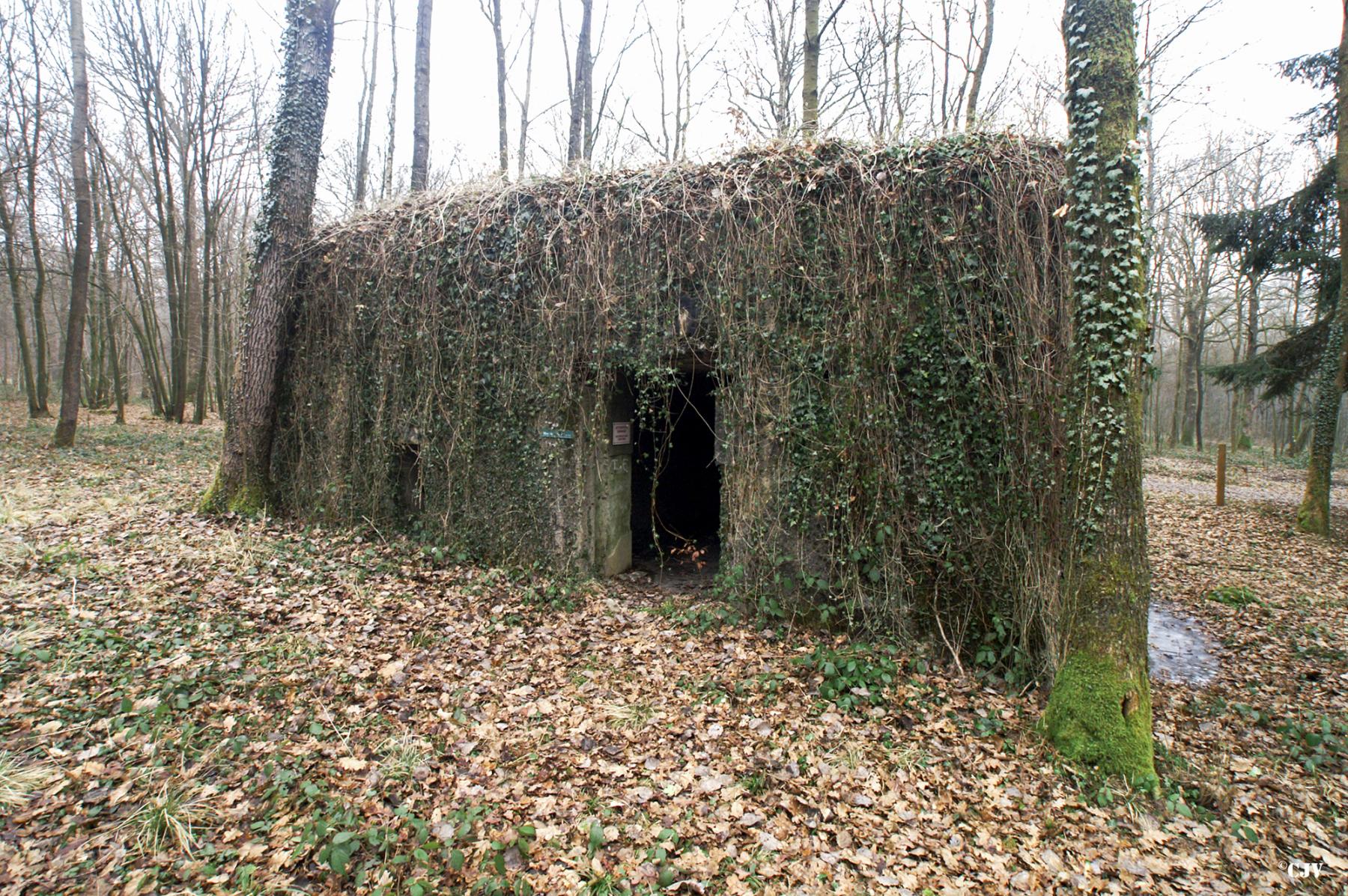 Ligne Maginot - A10 - LA LIMITE - (Blockhaus pour canon) -  - Caspar Vermeulen