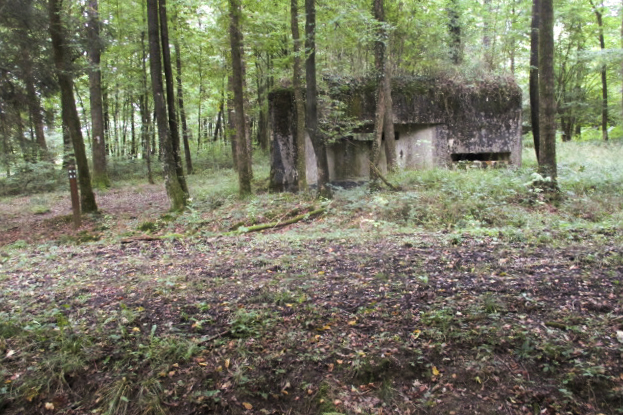 Ligne Maginot - A10 - LA LIMITE - (Blockhaus pour canon) - Blockhaus situé dans son environnement. - Randonneur62