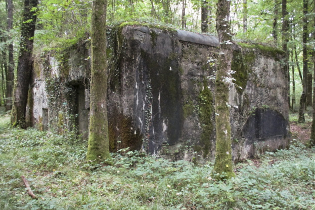 Ligne Maginot - A10 - LA LIMITE - (Blockhaus pour canon) -  - Randonneur62