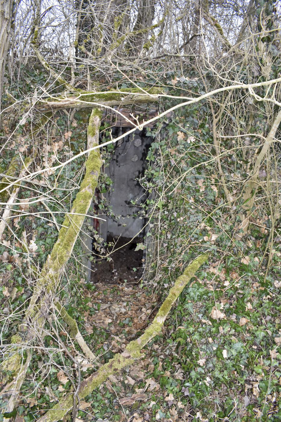 Ligne Maginot - LANGER ZUG 1 - (Abri) - Entrée Nord - Daniel Froehly