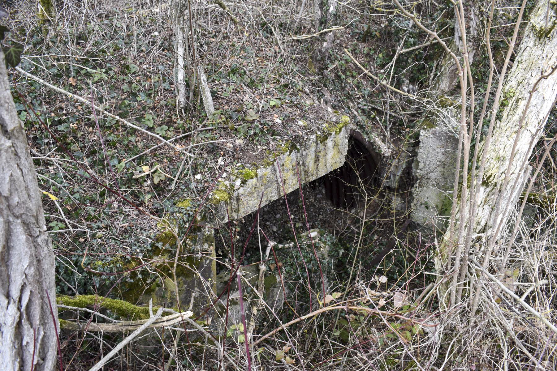 Ligne Maginot - LANGER ZUG 3 - (Abri) - Entrée éffondrée - Daniel Froehly