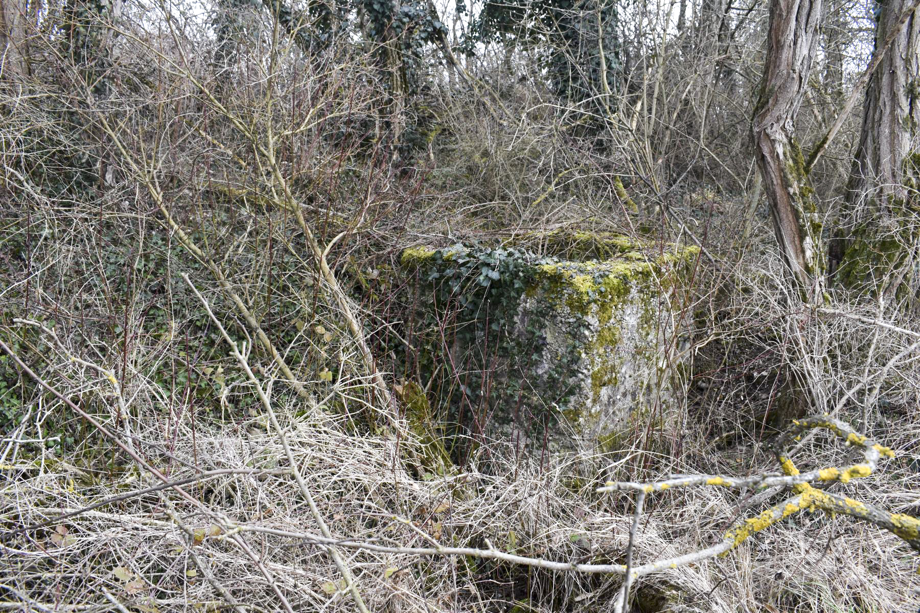 Ligne Maginot - LANGER ZUG 3 - (Abri) - Puits - Daniel Froehly