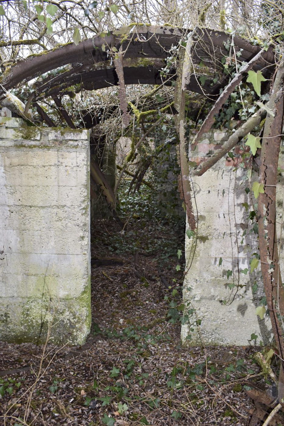 Ligne Maginot - LANGER ZUG 4 - (Abri) - Entrée nord de l'abri - Daniel Froehly